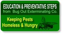 Education and Preventative Steps